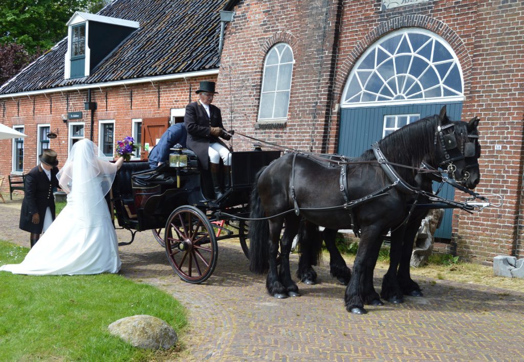 Woldzigt Roderwolde, uw trouwlocatie