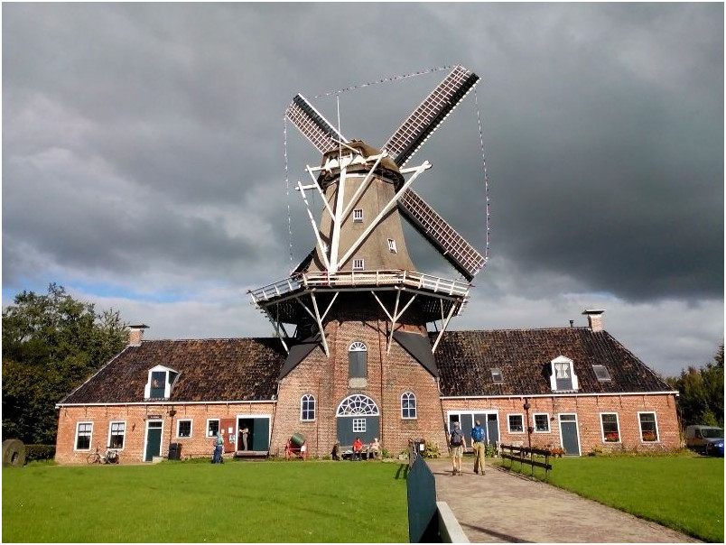 woldzigt met vlaggetjes tijdens Tocht om de Noord 2015