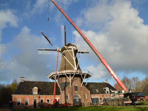 lange spruit plaatsen Woldzigt Roderwolde