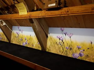 Schotten in Graanmuseum Woldzigt voorzien van korenbloemen fotobehang